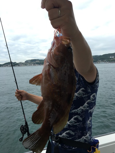 ミタチ丸 釣果