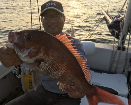 TOPGUN衣浦 釣果