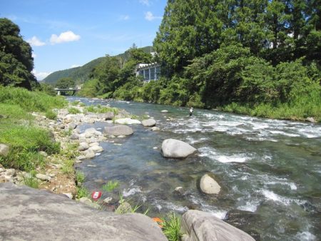 狩野川（狩野川漁業協同組合） 釣果