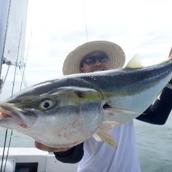 美里丸 釣果