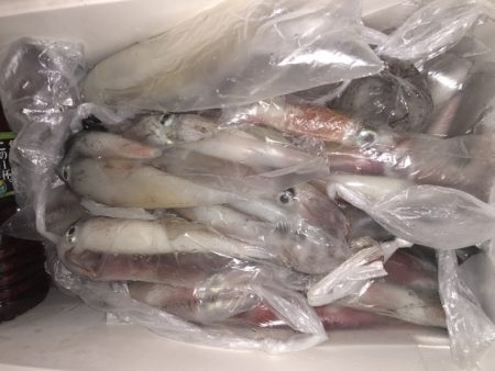 幸風（さちかぜ） 釣果