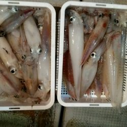 つれ鷹丸 釣果