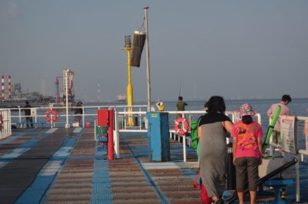 オリジナルメーカー海づり公園(市原市海づり施設) 釣果