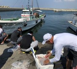 白墨丸 釣果