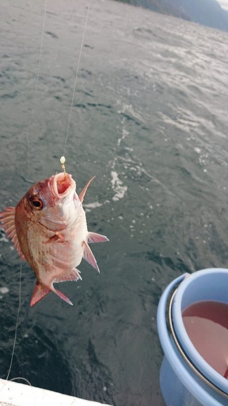 龍神丸（福井） 釣果