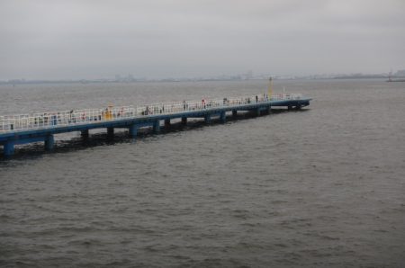 オリジナルメーカー海づり公園(市原市海づり施設) 釣果