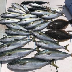 ふじしめ丸 釣果