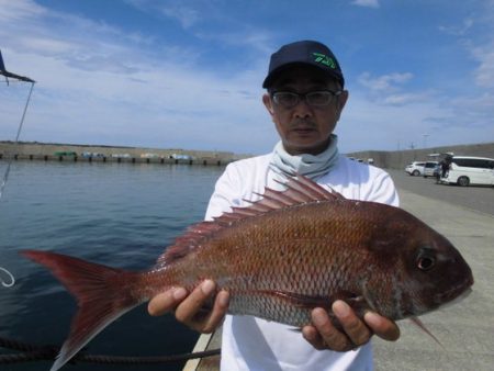 大進丸（新潟） 釣果