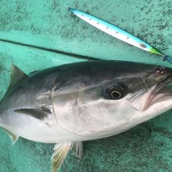 広進丸 釣果