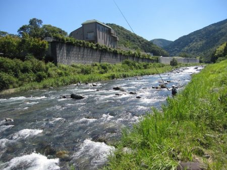 狩野川（狩野川漁業協同組合） 釣果