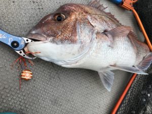 白墨丸 釣果