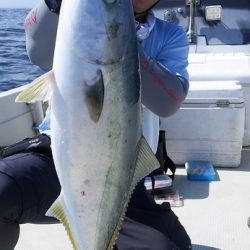 めだか屋 釣果