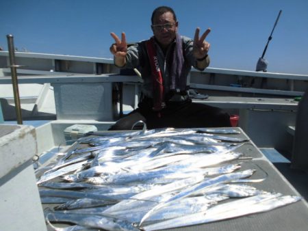 まとばや 釣果