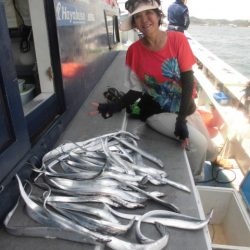 まとばや 釣果