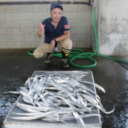 まとばや 釣果