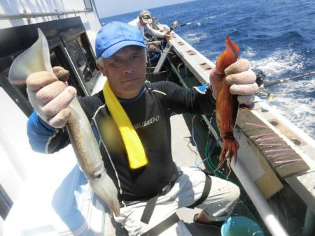 大進丸（愛知） 釣果