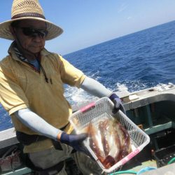 大進丸（愛知） 釣果