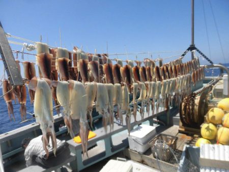 大進丸（愛知） 釣果