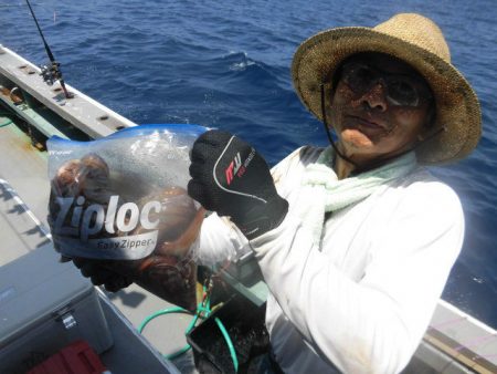 大進丸（愛知） 釣果