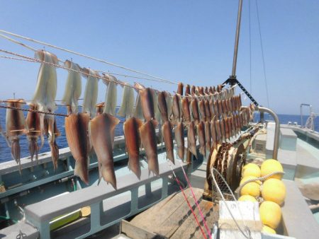 大進丸（愛知） 釣果