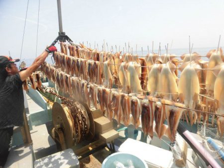 大進丸（愛知） 釣果