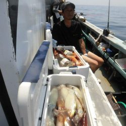 大進丸（愛知） 釣果