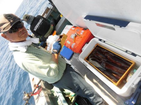 大進丸（愛知） 釣果