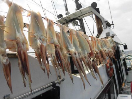 大進丸（愛知） 釣果