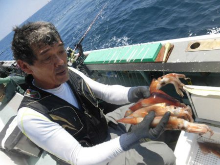 大進丸（愛知） 釣果