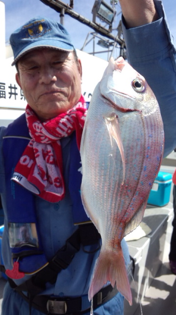 泰丸 釣果