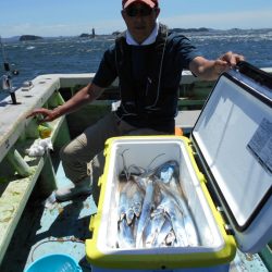 大進丸（愛知） 釣果