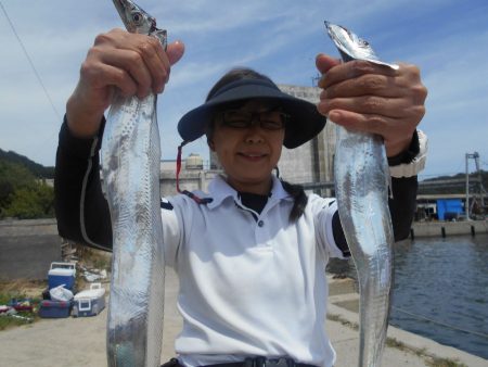 大進丸（愛知） 釣果