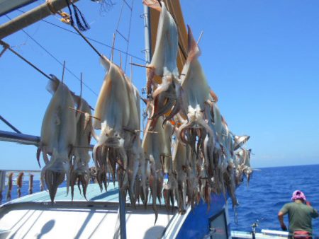 大進丸（愛知） 釣果