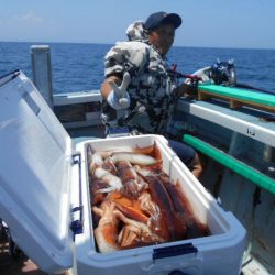 大進丸（愛知） 釣果