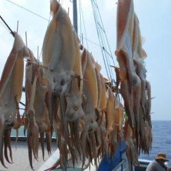 大進丸（愛知） 釣果