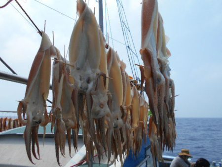 大進丸（愛知） 釣果