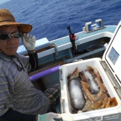 大進丸（愛知） 釣果