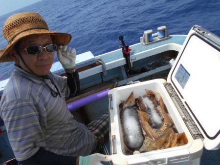 大進丸（愛知） 釣果