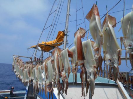 大進丸（愛知） 釣果