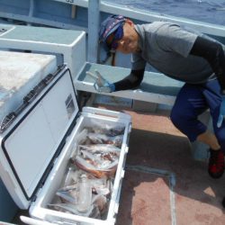 大進丸（愛知） 釣果