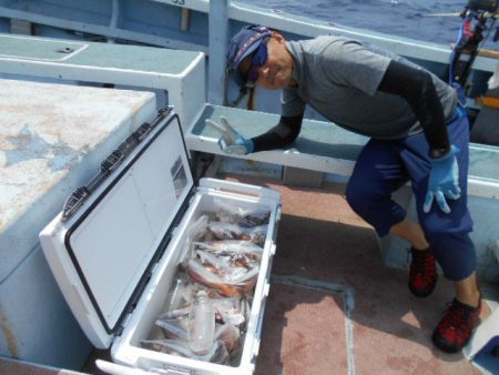 大進丸（愛知） 釣果