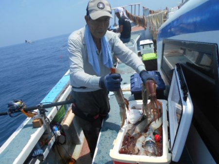 大進丸（愛知） 釣果