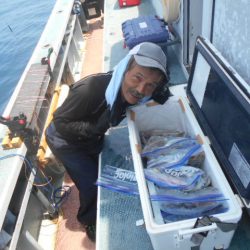 大進丸（愛知） 釣果