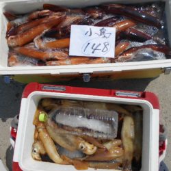 大進丸（愛知） 釣果