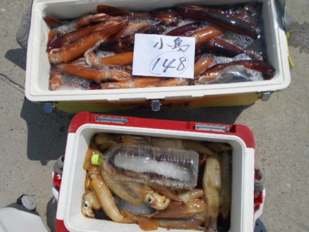 大進丸（愛知） 釣果