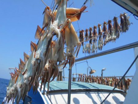 大進丸（愛知） 釣果