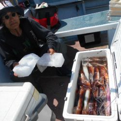 大進丸（愛知） 釣果