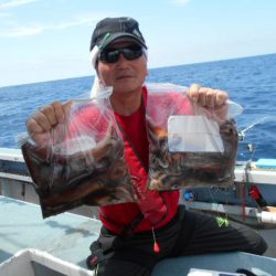 大進丸（愛知） 釣果