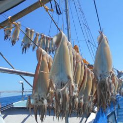 大進丸（愛知） 釣果