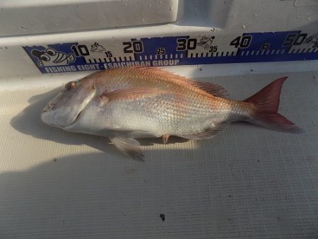 フィッシングボート空風（そらかぜ） 釣果